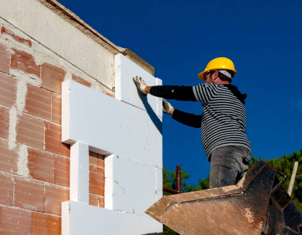 Best Insulation Maintenance and Repair in Meadow Oaks, FL